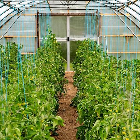 Mothir Joerth Organic Farm Guesthouse In Vallanes エクステリア 写真